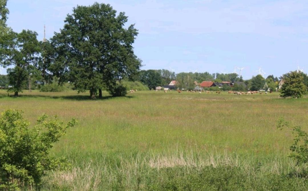 Spreewald Ferienwohnung Noack Lubben Bagian luar foto