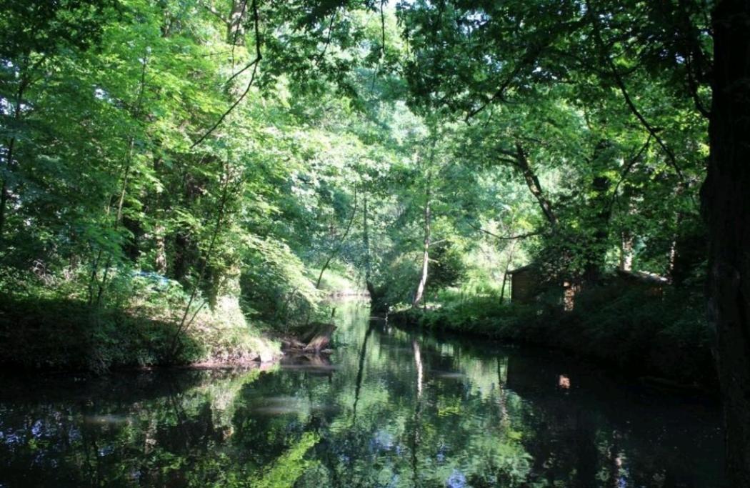Spreewald Ferienwohnung Noack Lubben Bagian luar foto